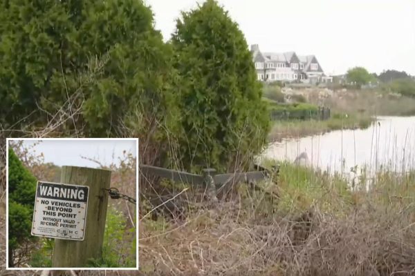 Bones on the Beach: A Mysterious Discovery Near Taylor Swift’s Rhode Island Home