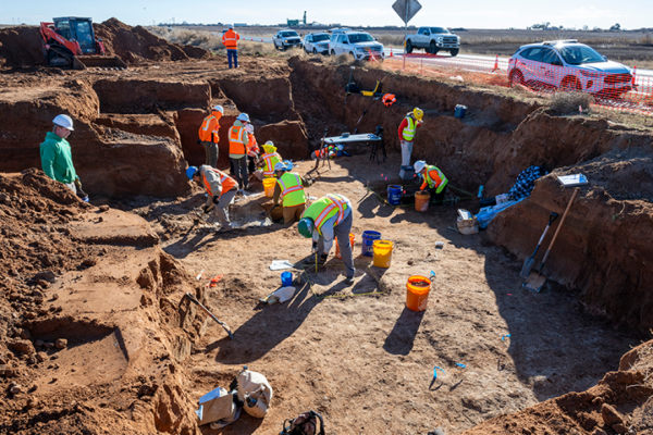 Colossal Creatures Unearthed in Texas!  Ice Age Discovery Shakes Up Highway Project