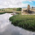 Beachcombers Unearth Centuries-Old Mystery on South Carolina Island