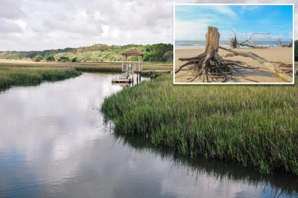 Beachcombers Unearth Centuries-Old Mystery on South Carolina Island