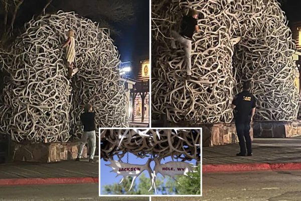 Montana Man’s Boozy Misadventure: A Climb for Love (or Maybe Just Liquor)?