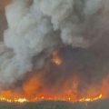 Extreme Weather and a Sticky Situation: A Weekend News Roundup
