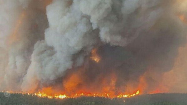 Extreme Weather and a Sticky Situation: A Weekend News Roundup