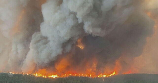 Extreme Weather and a Sticky Situation: A Weekend News Roundup