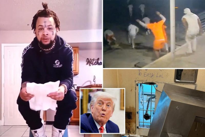 Jailbreak Gone Viral: Fugitive’s Plea to Trump for Help