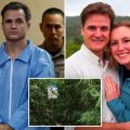 Maui Doctor’s Divorce Case: No Secrecy Allowed in Attempted Murder Allegations