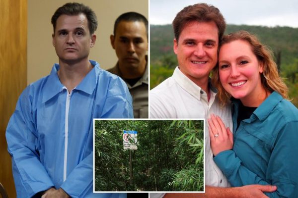 Maui Doctor’s Divorce Case: No Secrecy Allowed in Attempted Murder Allegations