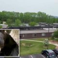 Bear-y Bad Day at the Nursing Home: A Tale of Treats and Walkers