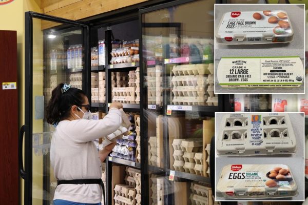 Egg-cellent Danger! Salmonella Outbreak Sends Dozens to Hospital