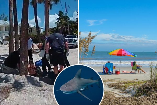 Shark Attacks Cast a Shadow on the Start of Summer Beach Season