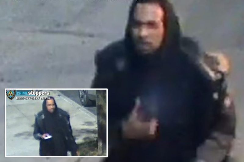 Queens Creep Uses Spider Trick to Grop Women: NYPD