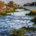 Revolutionizing Water and Carbon: A California Startup’s Game-Changing Solution