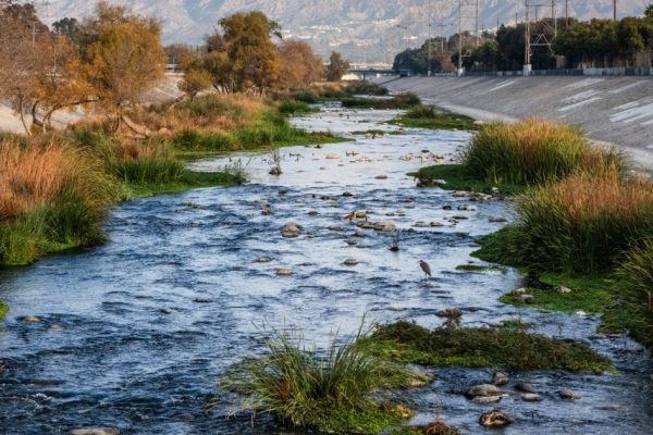 Revolutionizing Water and Carbon: A California Startup’s Game-Changing Solution
