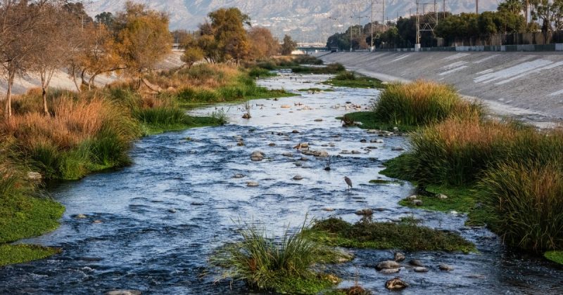 Revolutionizing Water and Carbon: A California Startup’s Game-Changing Solution