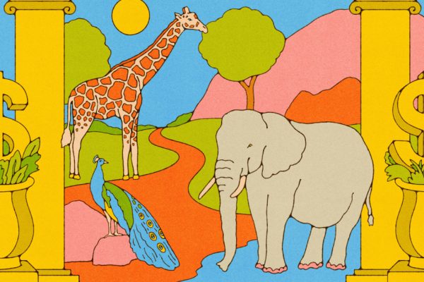 Dynamic Pricing at Zoos and Museums:  Is it a Wild Ride or a Fair Deal?