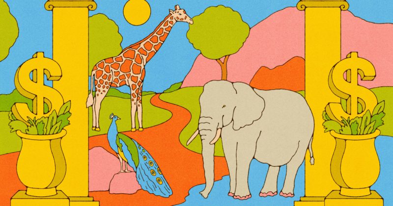 Dynamic Pricing at Zoos and Museums: Is it a Wild Ride or a Fair Deal?
