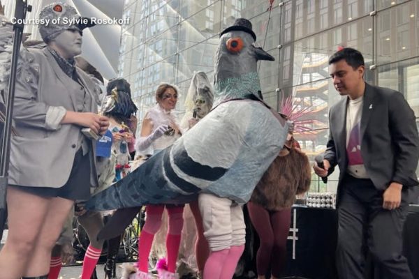 Coo-Coo for Awards! Artist Wins Big Impersonating a Pigeon