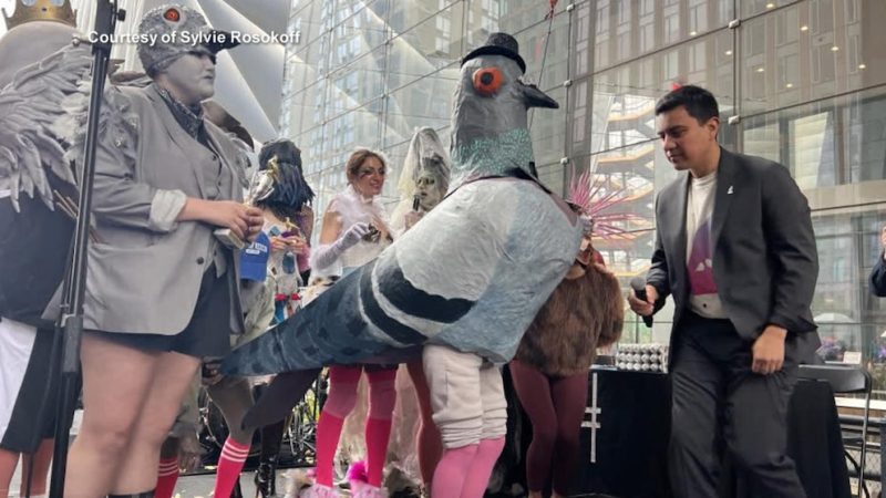Coo-Coo for Awards! Artist Wins Big Impersonating a Pigeon
