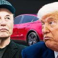 Elon Musk and Donald Trump: A Tumultuous Relationship and its Impact on Tesla