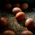 Egg-cellent Recall! 1.7 Million Eggs Recalled Due to Salmonella Outbreak