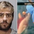 Florida Man’s Shark Revenge: A Bloody Snapchat Story and the Price of Justice