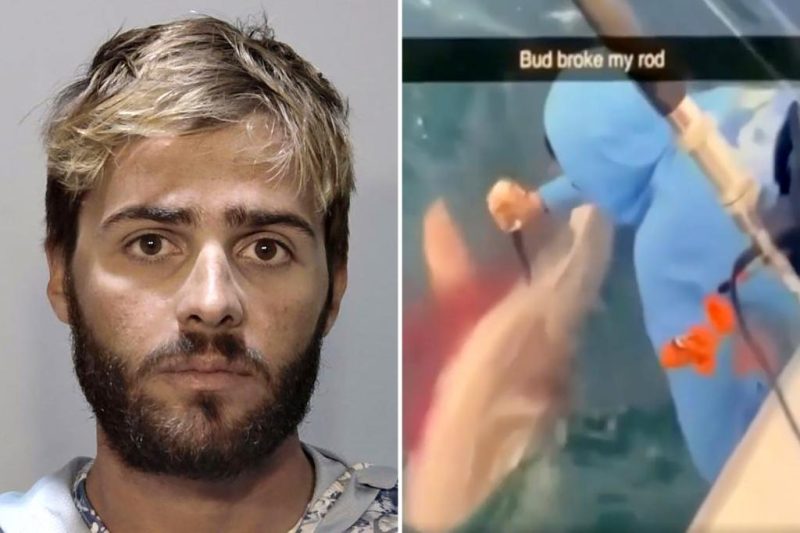 Florida Man’s Shark Revenge: A Bloody Snapchat Story and the Price of Justice