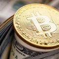Bitcoin vs. the Dollar: A Maximalist’s View and the US Political Landscape