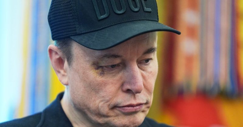 Musk’s Mea Culpa: A Public Apology to Trump?