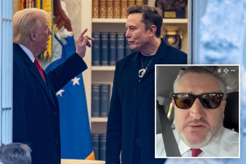 Trump’s Fury: Cruz Reveals Explosive Details of Musk’s Online Attack