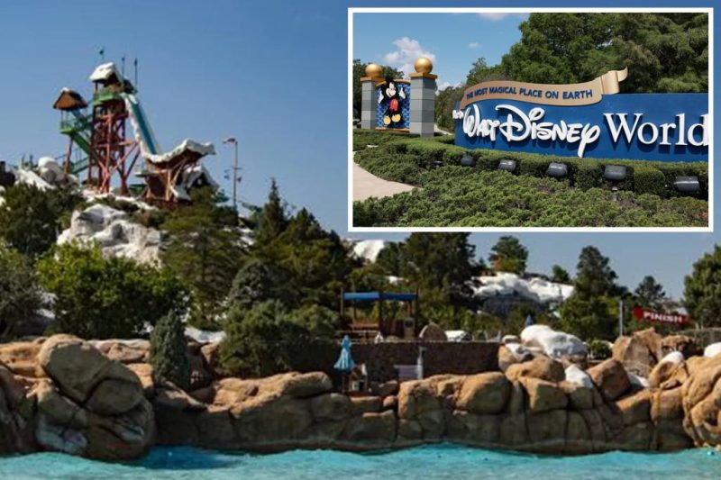 Disney World Waterslide Lawsuit: A 334-Pound Man’s Claim