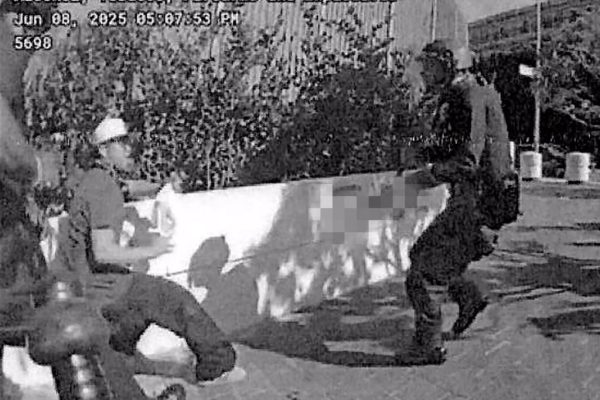 LA Riots: Molotov Cocktails and Federal Charges – 14 Arrested