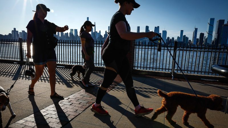 Extreme Heat Wave Sweeps Across the US: A Look at the Scorching Forecast