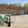 Chicago Crematory Shut Down Amidst Disturbing Whistleblower Allegations