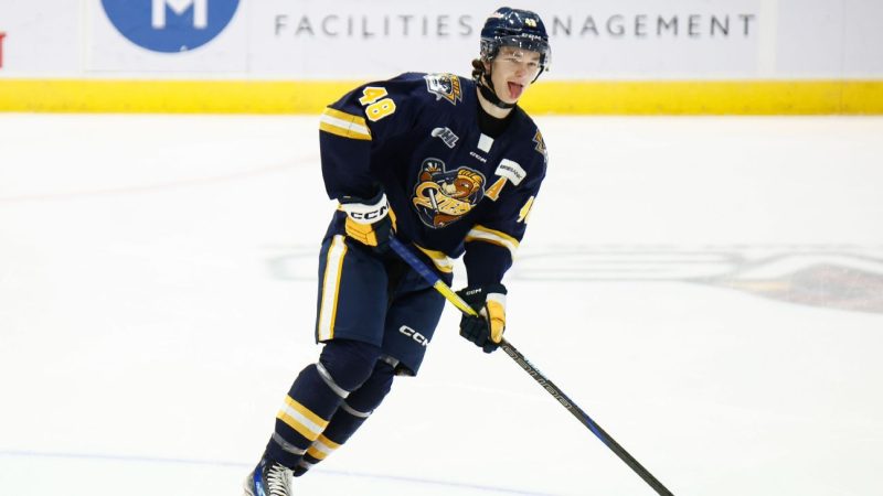 2025 NHL Draft: Will Connor McDavid Stay Put? The Buzz on Prospects, Trades, and Free Agency