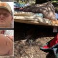 Utah Construction Worker’s Incredible Bear Encounter: A Tale of Survival