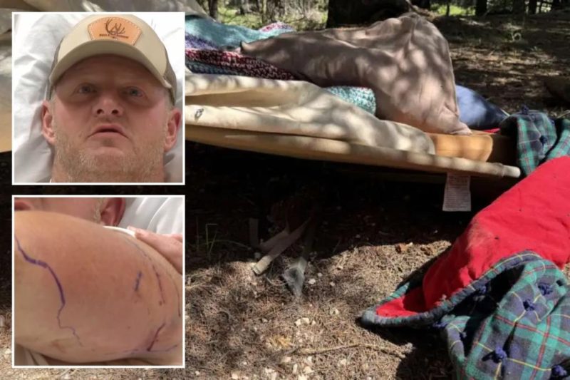 Utah Construction Worker’s Incredible Bear Encounter: A Tale of Survival