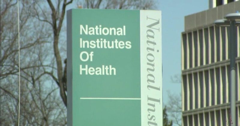 Trump-Era NIH Funding Cuts Overturned: A Victory for Diversity in Science