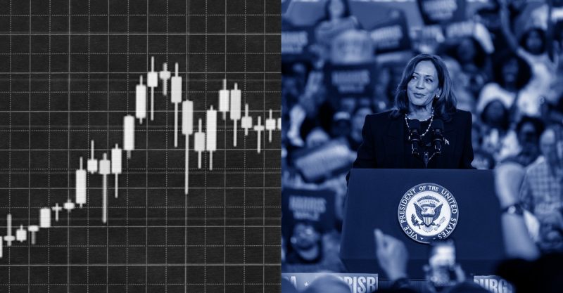 Kamala Harris’s 2024 Presidential Bid: A Post-Mortem Analysis