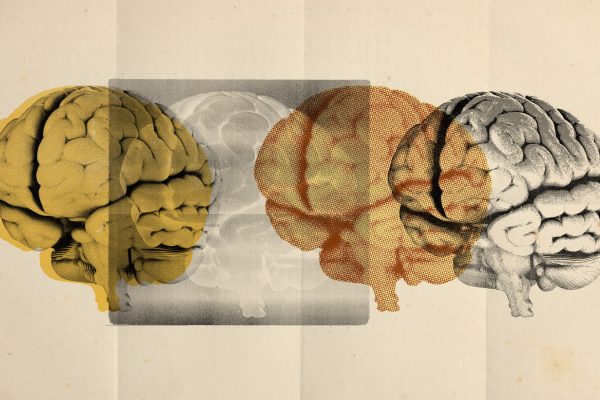 Unlocking Autism’s Mysteries: Four Distinct Subtypes Identified
