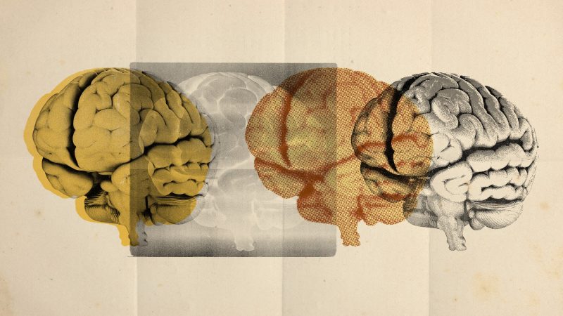 Unlocking Autism’s Mysteries: Four Distinct Subtypes Identified