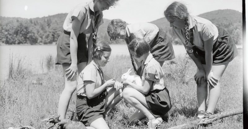 The Summer Camp Evolution: From Rustic Charm to Tech-Driven Experiences