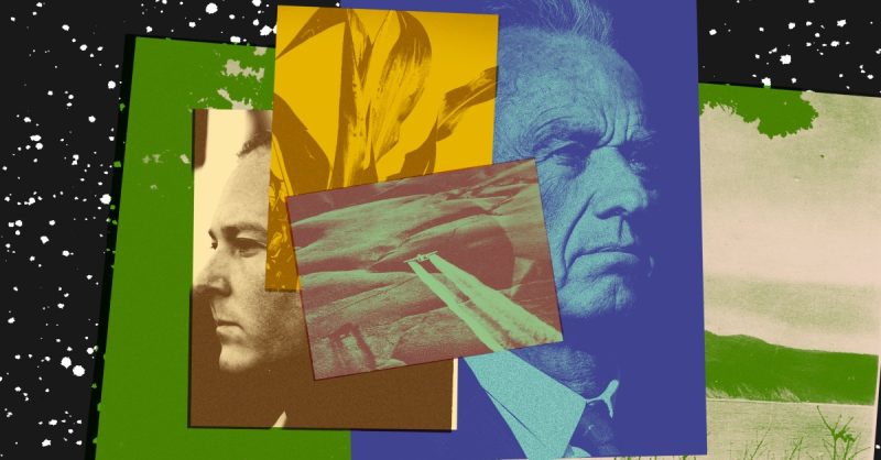 Is the Fight for a Healthier America Failing?