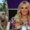 Carrie Underwood: Country Superstar, Farm Life Enthusiast