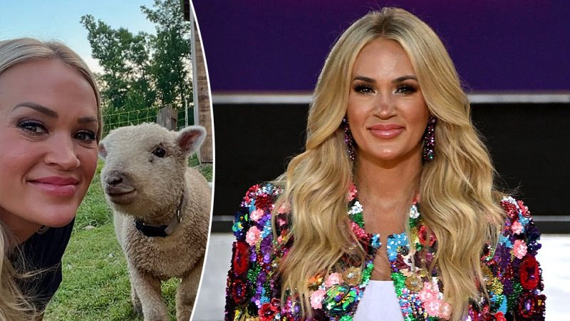 Carrie Underwood: Country Superstar, Farm Life Enthusiast