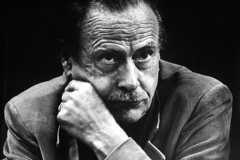 The Prophet of the Pixel: How a Dismissed Theorist Predicted Our Digital Dilemma