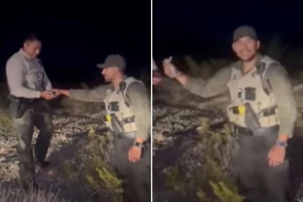 Sheriff’s Deputy’s Cruel Act: A Baby Bunny’s Tragic End