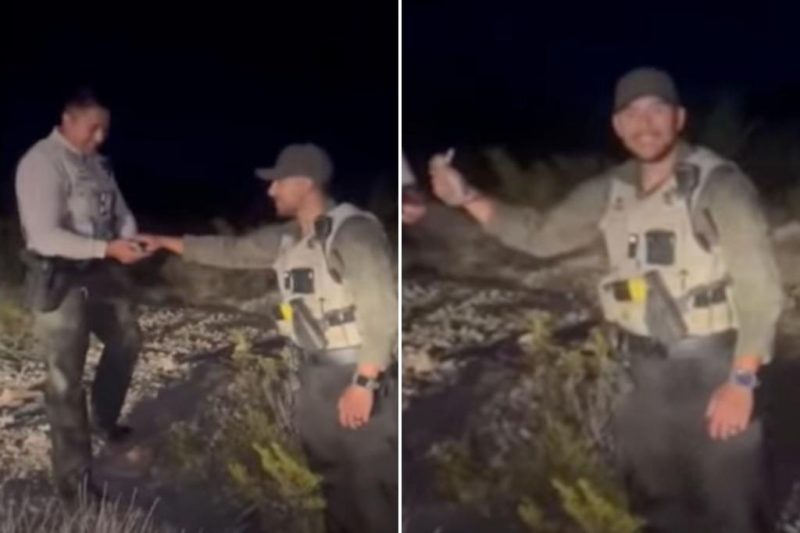 Sheriff’s Deputy’s Cruel Act: A Baby Bunny’s Tragic End