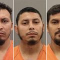 Houston Sting Nets Three Salvadoran Men Allegedly Targeting Teens on Dating App