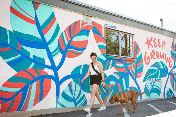 Salt Lake City: Beyond the Winter Wonderland – A Summer Escape You Won’t Want to Miss