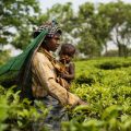The Silent Threat: Climate Change’s Hidden Impacts on Human Health